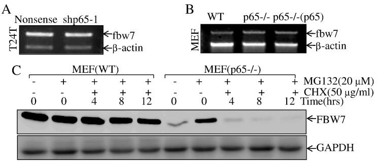 https://cdn.ncbi.nlm.nih.gov/pmc/blobs/deb3/5540704/5d7c3c2215d3/gr5.jpg