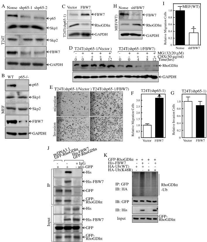 https://cdn.ncbi.nlm.nih.gov/pmc/blobs/deb3/5540704/99ce34e9253d/gr4.jpg