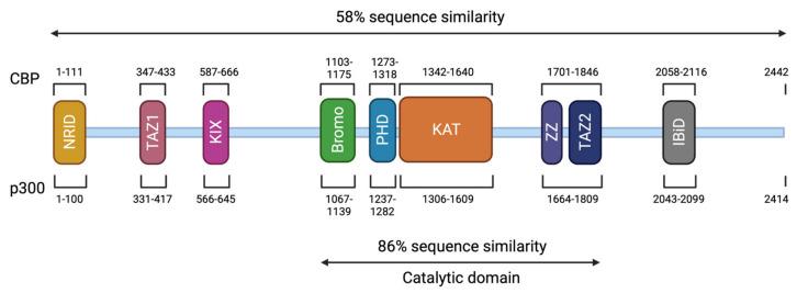 https://cdn.ncbi.nlm.nih.gov/pmc/blobs/deb3/8303114/8624e720ab45/genes-12-00968-g003.jpg