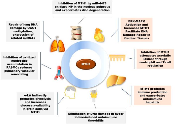 https://cdn.ncbi.nlm.nih.gov/pmc/blobs/deb5/10864502/607cb4209213/fcell-12-1334417-g002.jpg