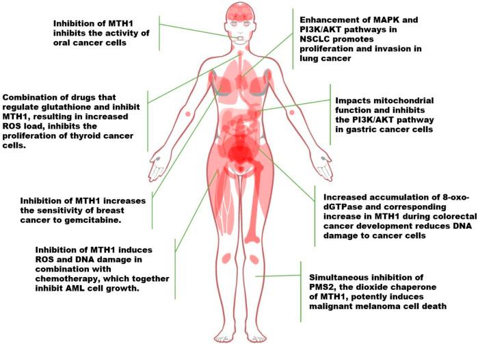 https://cdn.ncbi.nlm.nih.gov/pmc/blobs/deb5/10864502/c02b09863875/fcell-12-1334417-g003.jpg