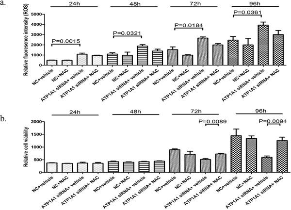 https://cdn.ncbi.nlm.nih.gov/pmc/blobs/deb6/4695053/56c93fc393f3/oncotarget-06-28183-g006.jpg