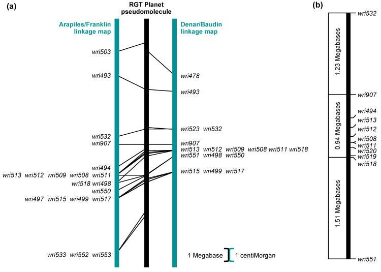 https://cdn.ncbi.nlm.nih.gov/pmc/blobs/deb7/11207570/202519b4eb75/plants-13-01663-g006.jpg