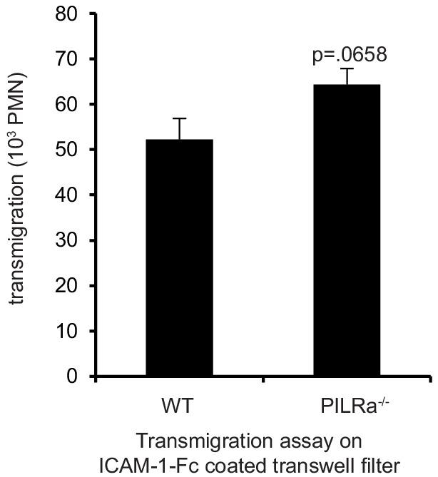https://cdn.ncbi.nlm.nih.gov/pmc/blobs/deb7/6699825/7161ba1ece10/elife-47642-fig7-figsupp2.jpg