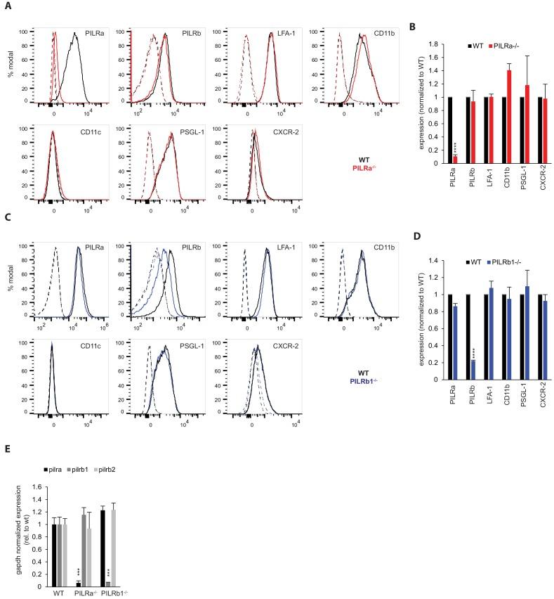https://cdn.ncbi.nlm.nih.gov/pmc/blobs/deb7/6699825/91fda8aae431/elife-47642-fig1.jpg