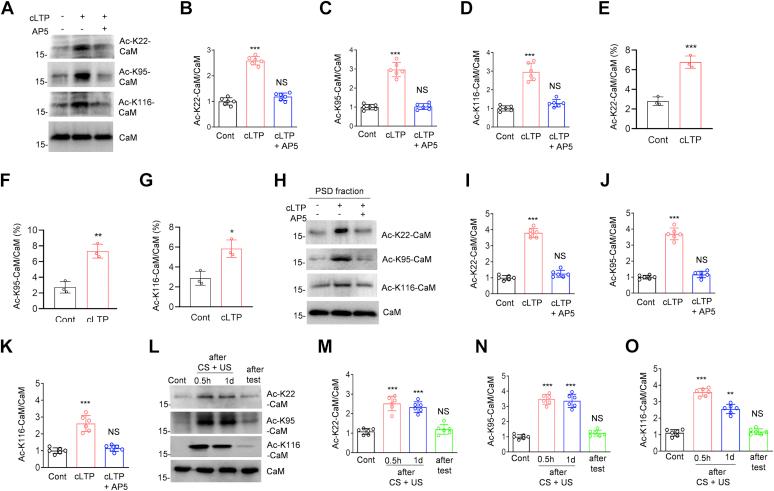 https://cdn.ncbi.nlm.nih.gov/pmc/blobs/debb/8383114/536db07116fb/gr3.jpg