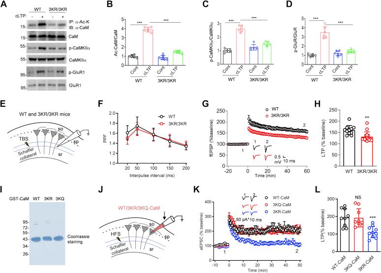 https://cdn.ncbi.nlm.nih.gov/pmc/blobs/debb/8383114/5dfc21da88ca/gr7.jpg