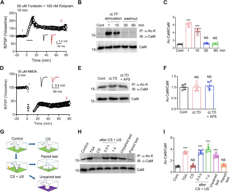 https://cdn.ncbi.nlm.nih.gov/pmc/blobs/debb/8383114/774e17aa3575/gr1.jpg