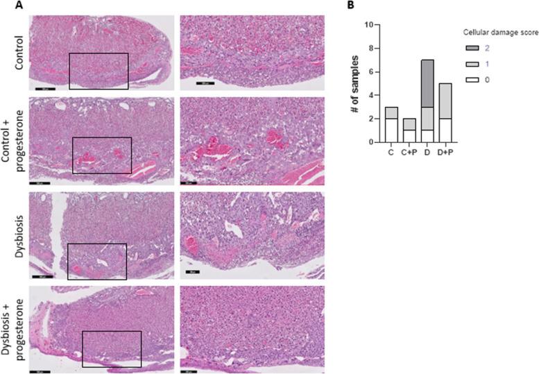 https://cdn.ncbi.nlm.nih.gov/pmc/blobs/debe/11177491/30dc7e4e68c9/12884_2024_6595_Fig4_HTML.jpg
