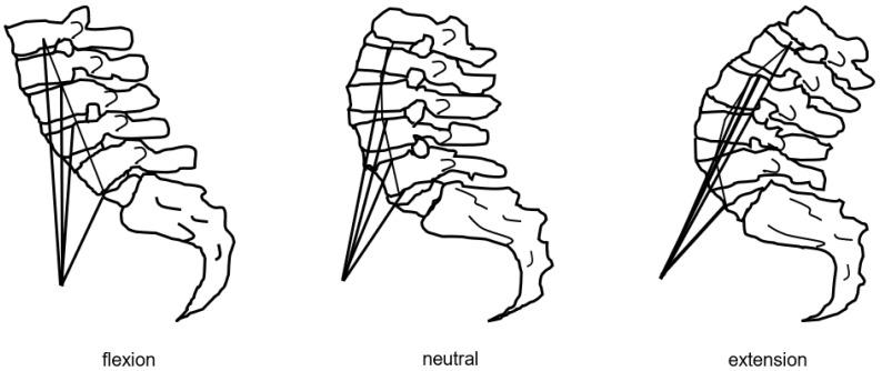https://cdn.ncbi.nlm.nih.gov/pmc/blobs/debf/11122457/295e1a821a32/jcm-13-02915-g012.jpg