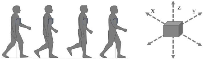 https://cdn.ncbi.nlm.nih.gov/pmc/blobs/debf/11122457/513f74f01040/jcm-13-02915-g008.jpg