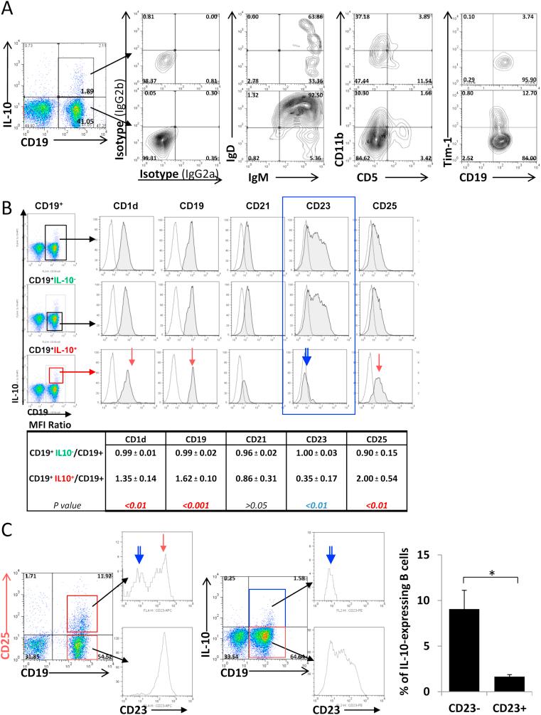 https://cdn.ncbi.nlm.nih.gov/pmc/blobs/dec2/4012142/773a7e453877/gr4ac.jpg