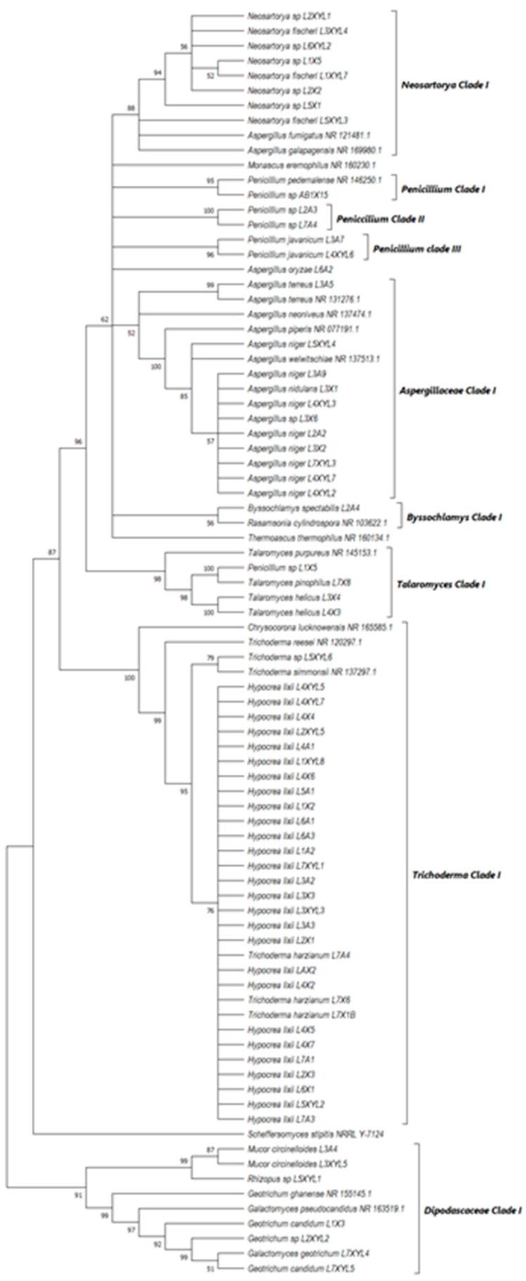https://cdn.ncbi.nlm.nih.gov/pmc/blobs/dec4/10971965/717cdd2d9259/microorganisms-12-00445-g010.jpg