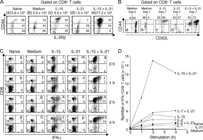 https://cdn.ncbi.nlm.nih.gov/pmc/blobs/dec4/2212766/7cb5e5ded6aa/20041057f3.jpg