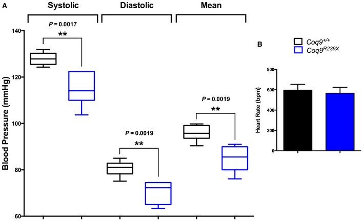 https://cdn.ncbi.nlm.nih.gov/pmc/blobs/dec5/5210161/1301439d4c2f/EMMM-9-78-g010.jpg