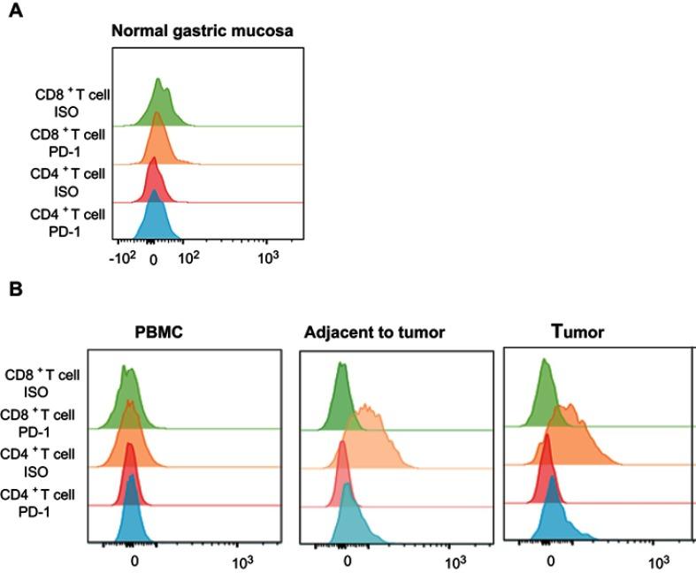 https://cdn.ncbi.nlm.nih.gov/pmc/blobs/dec6/6525832/02e69c8a78dc/CMAR-11-3909-g0004.jpg