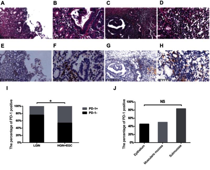 https://cdn.ncbi.nlm.nih.gov/pmc/blobs/dec6/6525832/6e056aa020ac/CMAR-11-3909-g0003.jpg