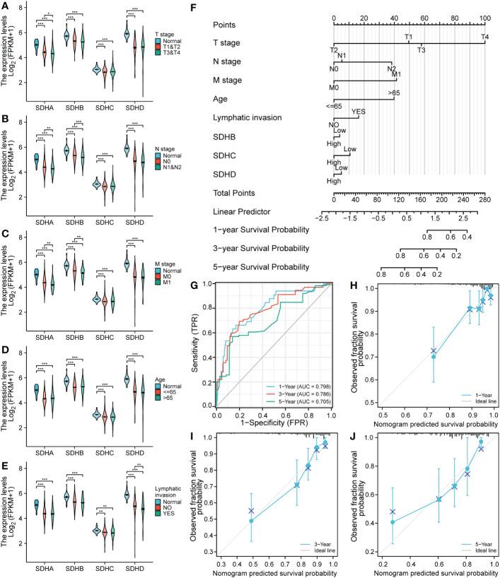 https://cdn.ncbi.nlm.nih.gov/pmc/blobs/dec7/10025334/57909bffa0b9/fimmu-14-1093974-g005.jpg