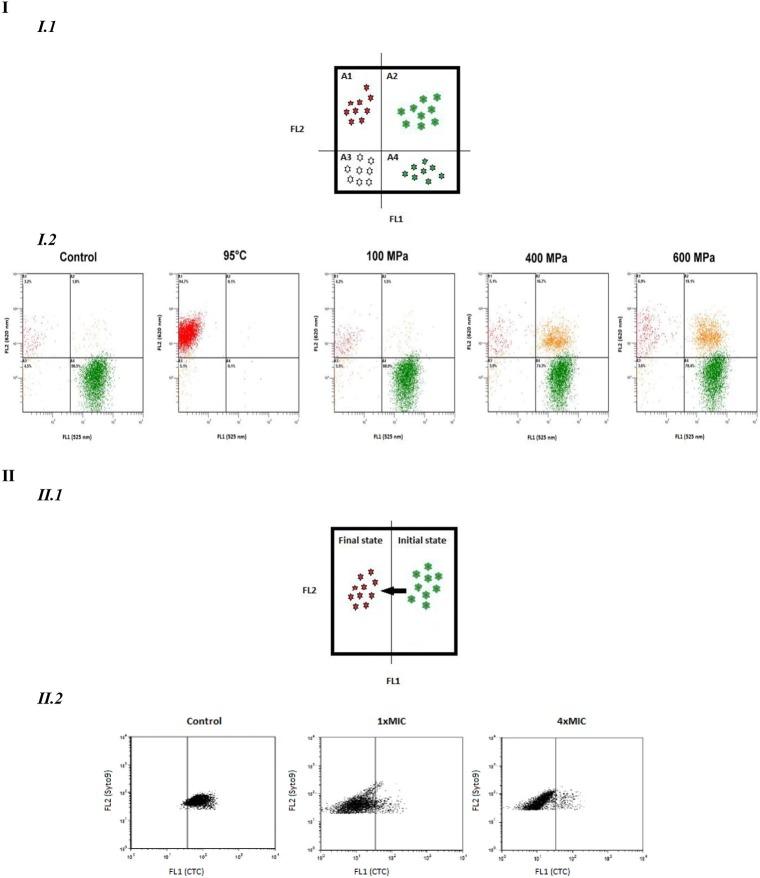 https://cdn.ncbi.nlm.nih.gov/pmc/blobs/dec7/4976717/a6ff89d5c5df/fmicb-07-01225-g0002.jpg