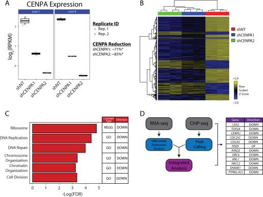 https://cdn.ncbi.nlm.nih.gov/pmc/blobs/dec7/7307189/d46bb840b2cc/SB-JBCJ200012F005.jpg