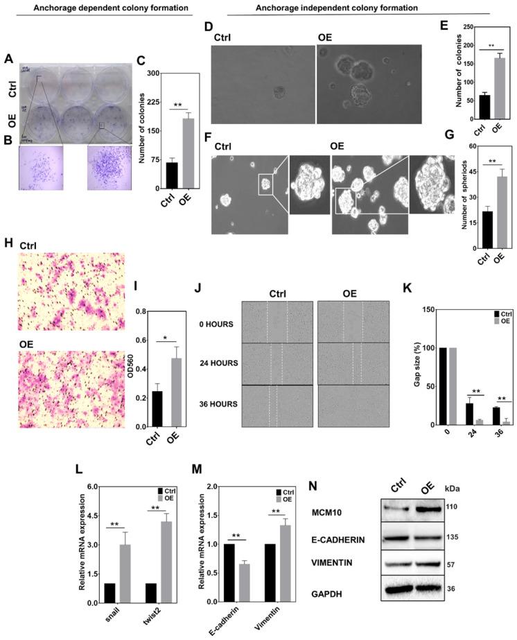 https://cdn.ncbi.nlm.nih.gov/pmc/blobs/dec7/9254470/733620976f1c/ijbsv18p3827g006.jpg