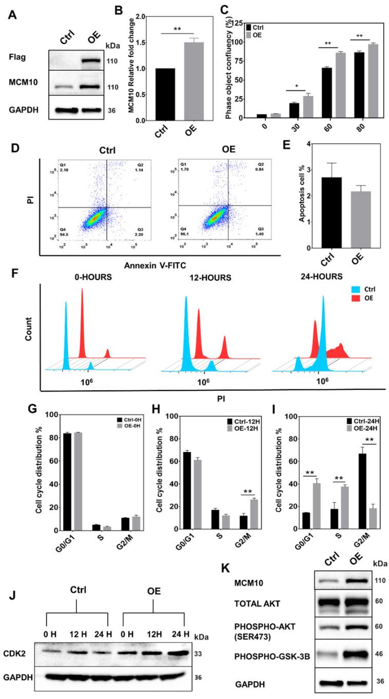 https://cdn.ncbi.nlm.nih.gov/pmc/blobs/dec7/9254470/bf3643300534/ijbsv18p3827g002.jpg