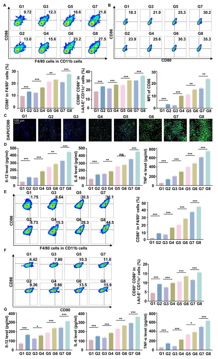 https://cdn.ncbi.nlm.nih.gov/pmc/blobs/dec9/12374651/094c54e0ae09/thnov15p8569g005.jpg