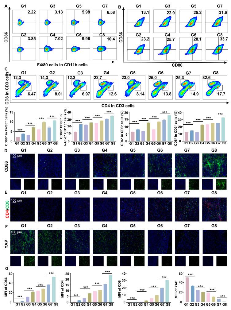 https://cdn.ncbi.nlm.nih.gov/pmc/blobs/dec9/12374651/398ee7b7259b/thnov15p8569g007.jpg