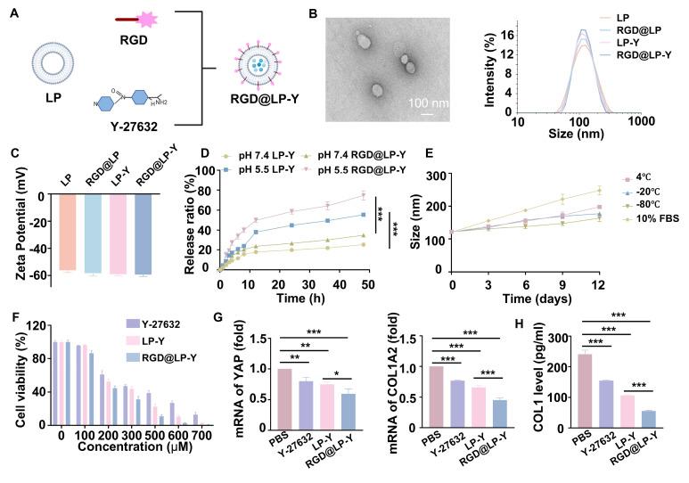 https://cdn.ncbi.nlm.nih.gov/pmc/blobs/dec9/12374651/5189a5509d28/thnov15p8569g001.jpg