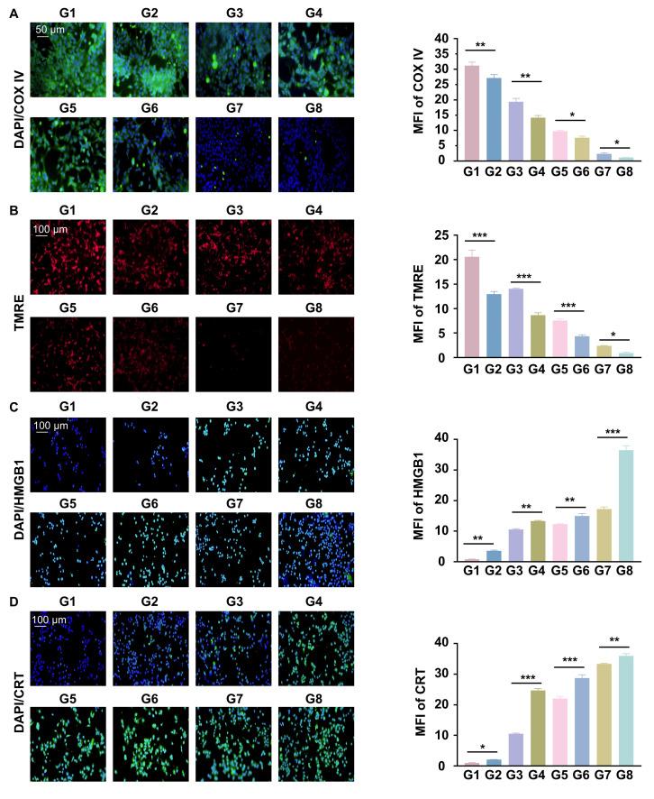 https://cdn.ncbi.nlm.nih.gov/pmc/blobs/dec9/12374651/6eb7b7b4af77/thnov15p8569g004.jpg