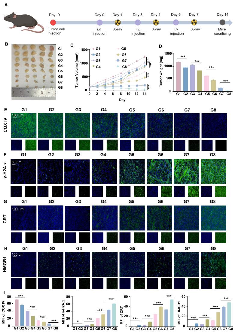 https://cdn.ncbi.nlm.nih.gov/pmc/blobs/dec9/12374651/a8e8b7a75717/thnov15p8569g006.jpg