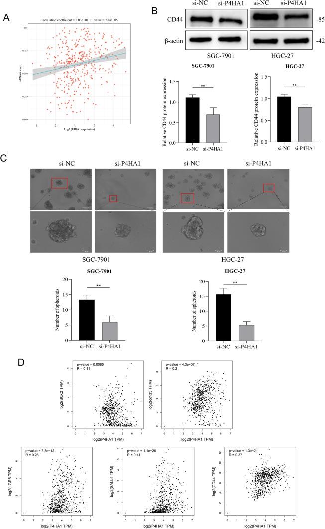 https://cdn.ncbi.nlm.nih.gov/pmc/blobs/deca/12009265/53891632fa05/12672_2025_2337_Fig6_HTML.jpg