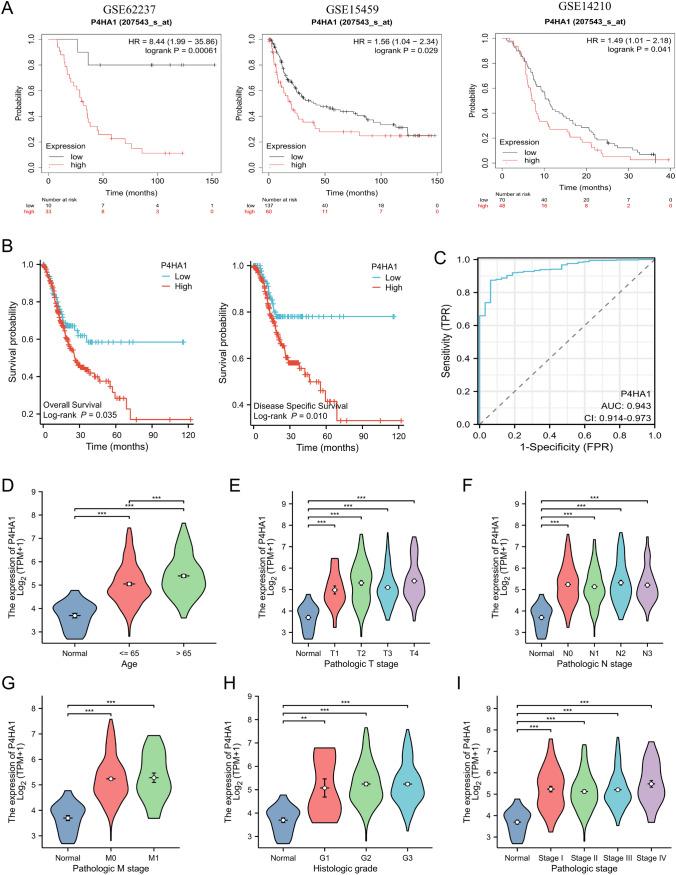 https://cdn.ncbi.nlm.nih.gov/pmc/blobs/deca/12009265/f932ce9d56f9/12672_2025_2337_Fig2_HTML.jpg