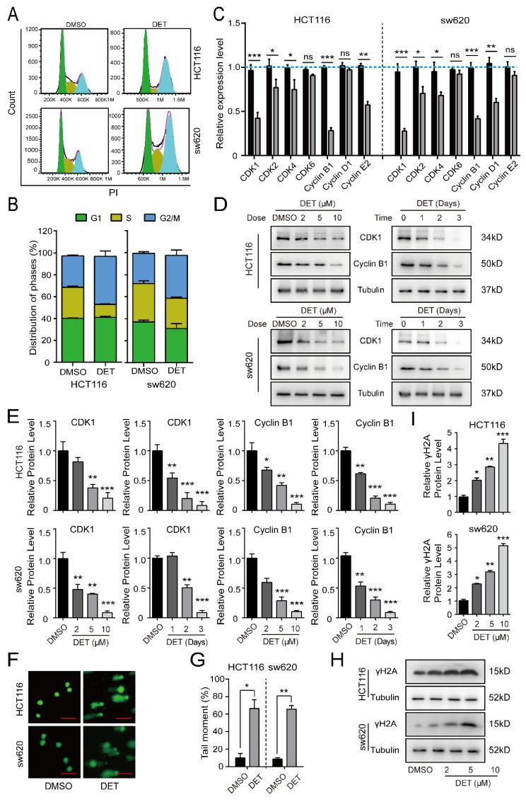 https://cdn.ncbi.nlm.nih.gov/pmc/blobs/decd/9099879/33540602a1b6/ijms-23-05051-g002.jpg
