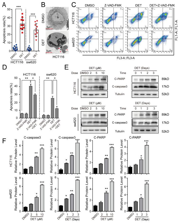 https://cdn.ncbi.nlm.nih.gov/pmc/blobs/decd/9099879/4a566e623975/ijms-23-05051-g003.jpg
