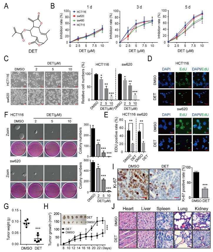 https://cdn.ncbi.nlm.nih.gov/pmc/blobs/decd/9099879/7a922d912342/ijms-23-05051-g001.jpg