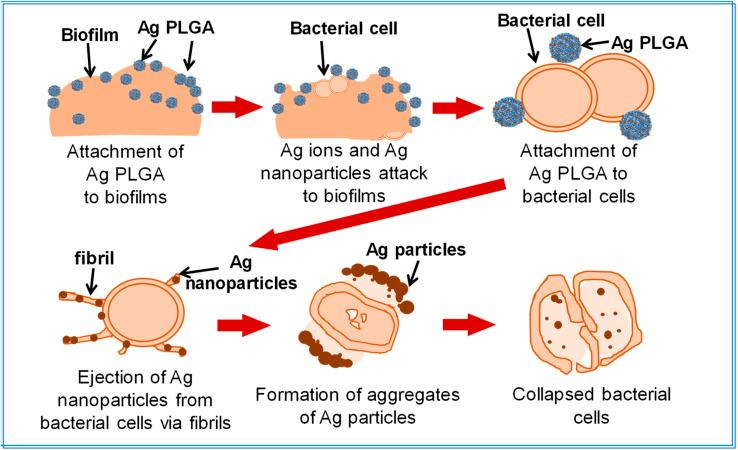 https://cdn.ncbi.nlm.nih.gov/pmc/blobs/dece/11460612/f7ee18312fa4/d4na00249k-f8.jpg