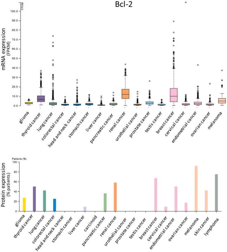 https://cdn.ncbi.nlm.nih.gov/pmc/blobs/dece/7291206/c91c446bedf2/cells-09-01287-g001.jpg