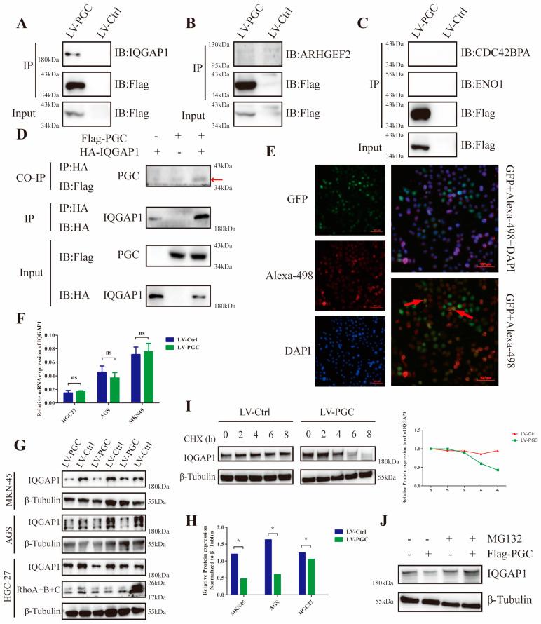 https://cdn.ncbi.nlm.nih.gov/pmc/blobs/ded0/11120368/64a43a958005/cancers-16-01796-g004.jpg