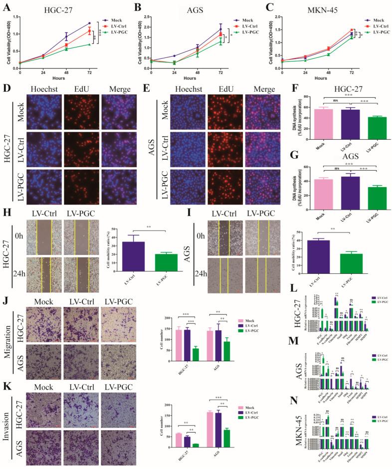 https://cdn.ncbi.nlm.nih.gov/pmc/blobs/ded0/11120368/96c4cb2ee013/cancers-16-01796-g001.jpg