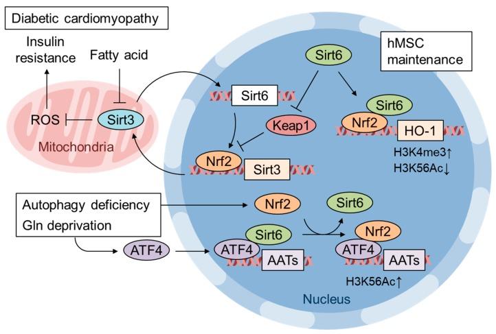 https://cdn.ncbi.nlm.nih.gov/pmc/blobs/ded0/7072240/c7a3fd4eda4e/biomolecules-10-00320-g005.jpg