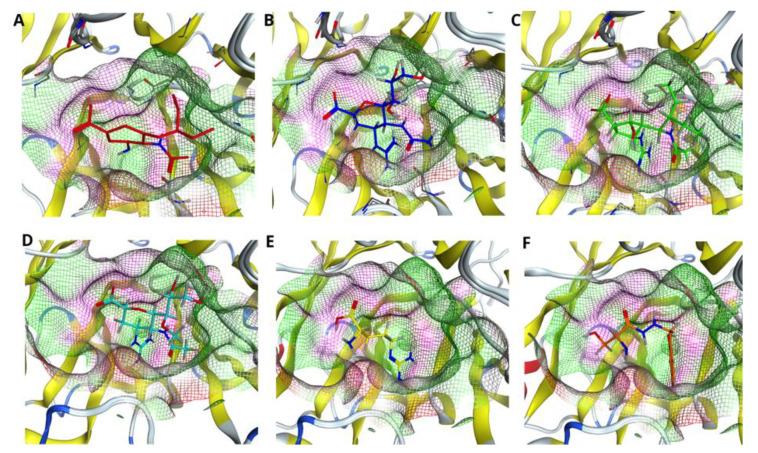 https://cdn.ncbi.nlm.nih.gov/pmc/blobs/ded0/9503969/2c9a42e181b4/molecules-27-05920-g003.jpg