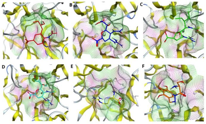 https://cdn.ncbi.nlm.nih.gov/pmc/blobs/ded0/9503969/f7b98cb39347/molecules-27-05920-g004.jpg