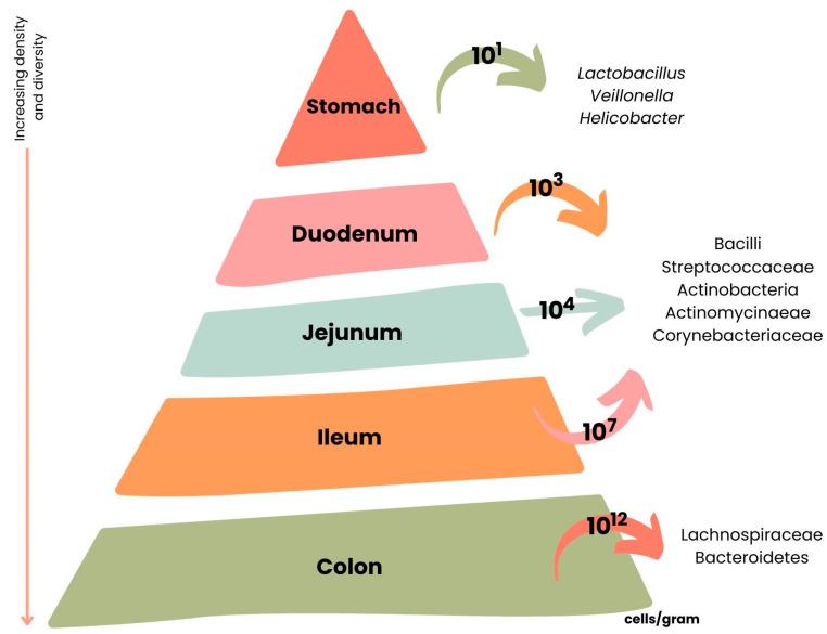 https://cdn.ncbi.nlm.nih.gov/pmc/blobs/ded1/10220829/14b9d3588fa5/nutrients-15-02265-g006.jpg