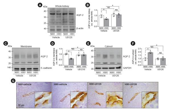 https://cdn.ncbi.nlm.nih.gov/pmc/blobs/ded1/11181044/1a860cd8774f/j-krcp-23-087f6.jpg
