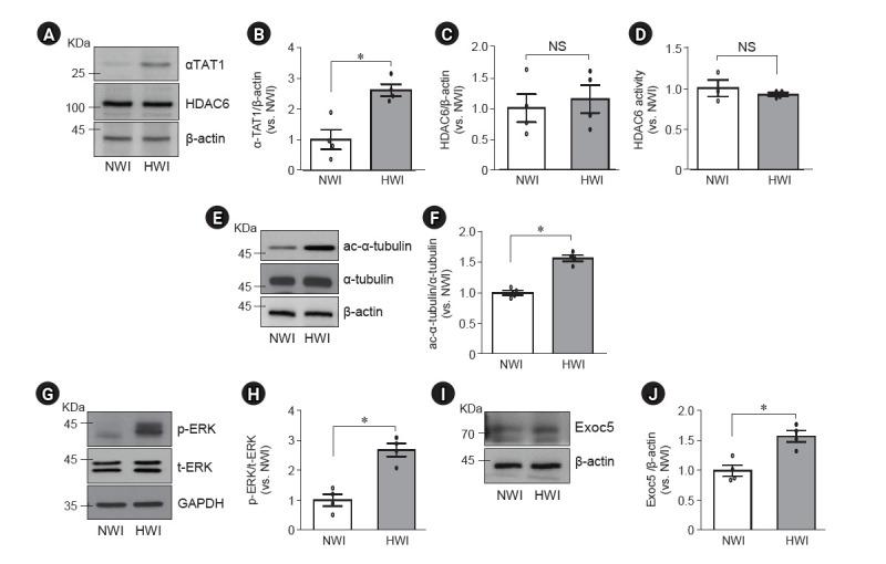 https://cdn.ncbi.nlm.nih.gov/pmc/blobs/ded1/11181044/43d6b06232d6/j-krcp-23-087f2.jpg