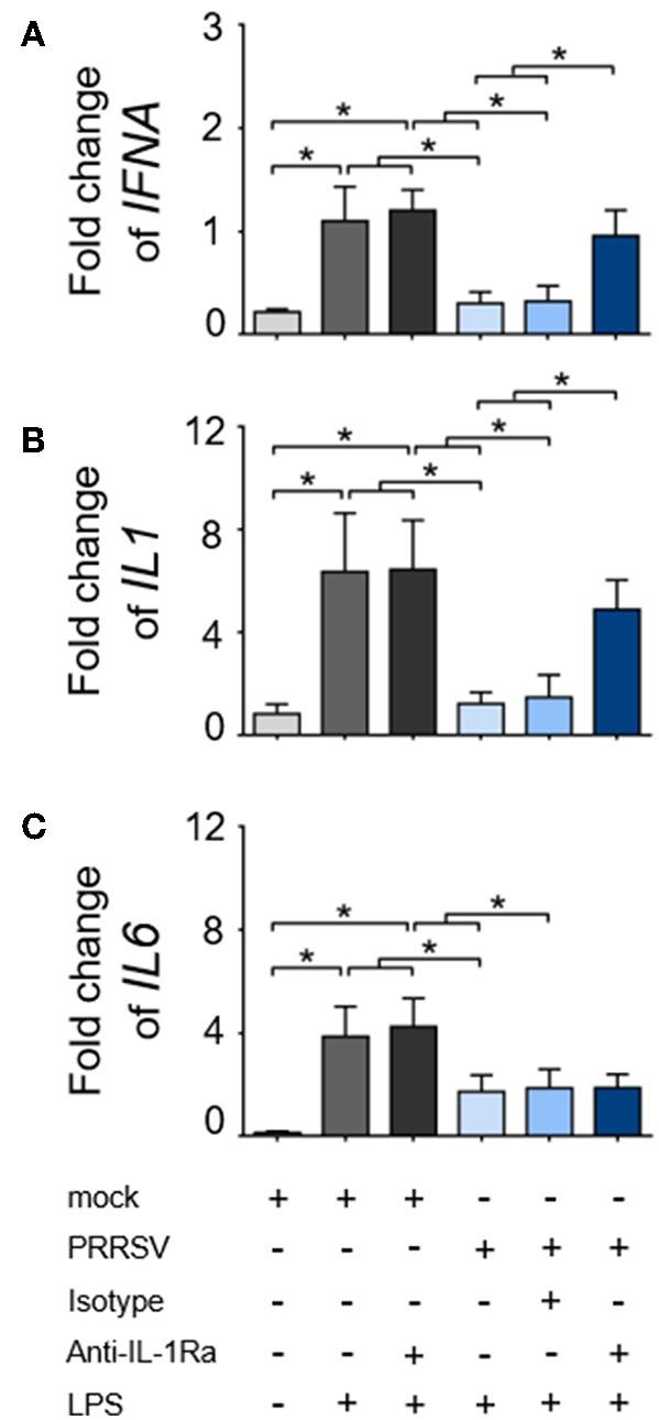 https://cdn.ncbi.nlm.nih.gov/pmc/blobs/ded1/6443931/8efb4283c03c/fimmu-10-00579-g0002.jpg