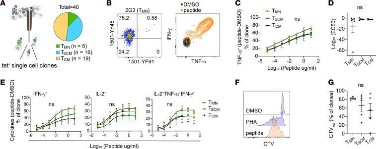 https://cdn.ncbi.nlm.nih.gov/pmc/blobs/ded2/11383171/bd753fafcf7e/jciinsight-9-180667-g013.jpg