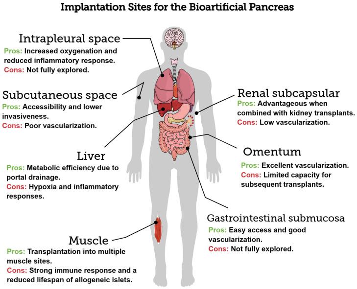 https://cdn.ncbi.nlm.nih.gov/pmc/blobs/ded4/12108884/f68d7ede7bc0/bioengineering-12-00499-g002.jpg