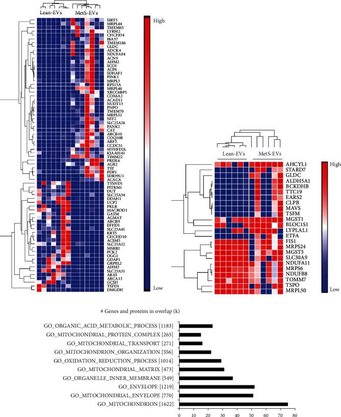 https://cdn.ncbi.nlm.nih.gov/pmc/blobs/ded4/7685840/f578da363ca7/SCI2020-8845635.004.jpg